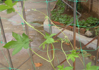 توری مشبک پلاستیکی 6.5 فوت محافظ محافظ برگ باغی Hdpe