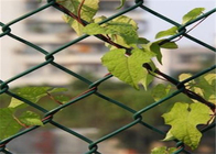 سبز 6 اینچ ارتفاع 4 فوت مزرعه حصار زنجیره ای با روکش پی وی سی را محافظت می کند